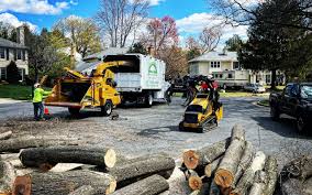 Best Storm Damage Tree Cleanup  in Stockton, UT