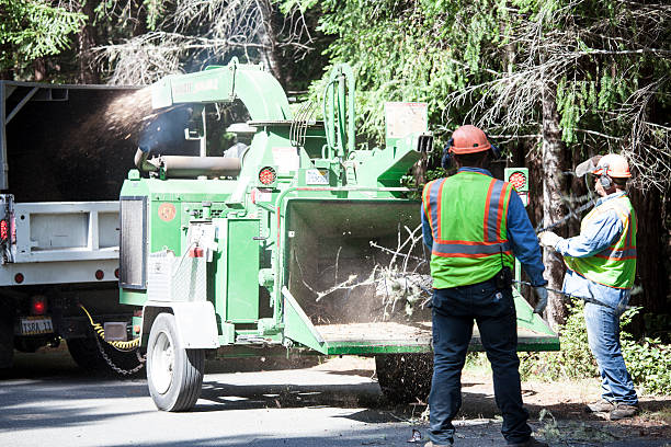 Best Tree and Shrub Care  in Stockton, UT